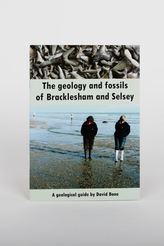 Geology and Fossils Bracklesham Selsey